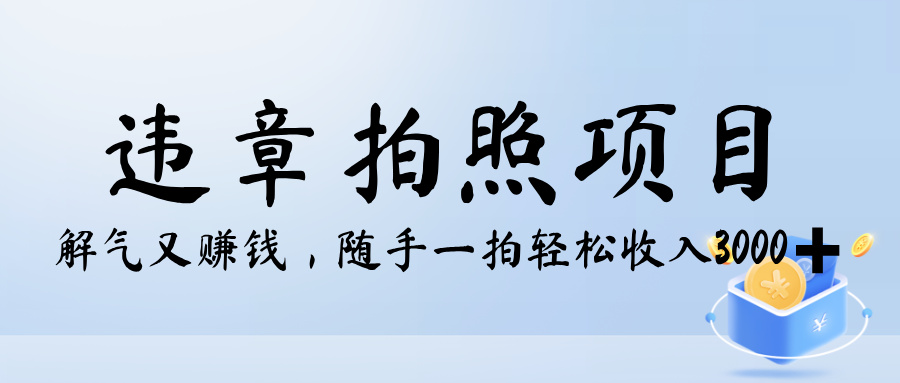 解气又赚钱的项目，最新违章拍照赚钱，随手一拍，轻松收入3000+网创吧-网创项目资源站-副业项目-创业项目-搞钱项目网创吧